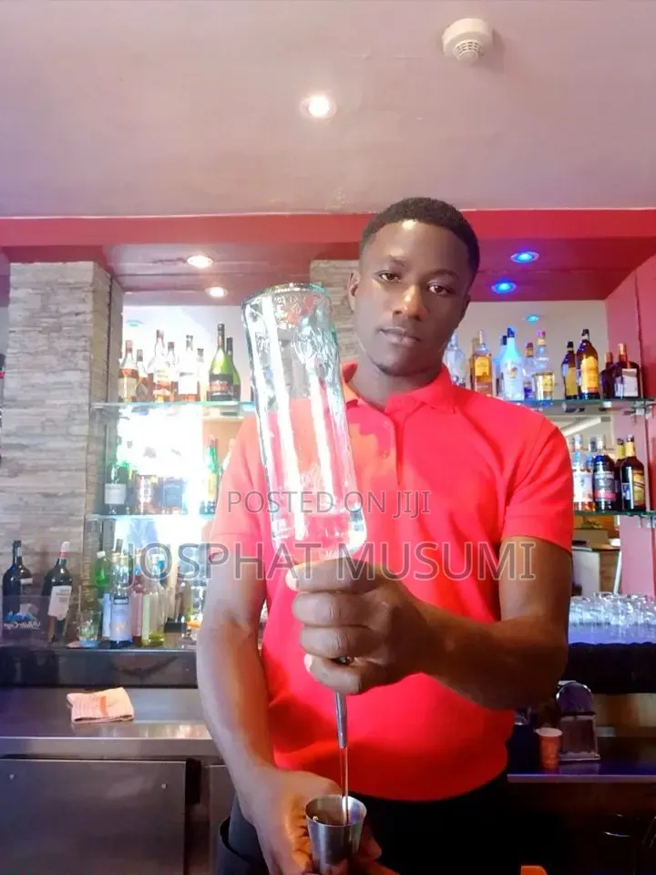 Professional Mobile Bartender and Cocktail Catering