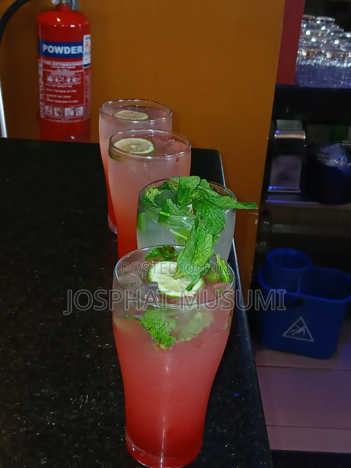 Professional Mobile Bartender and Cocktail Catering