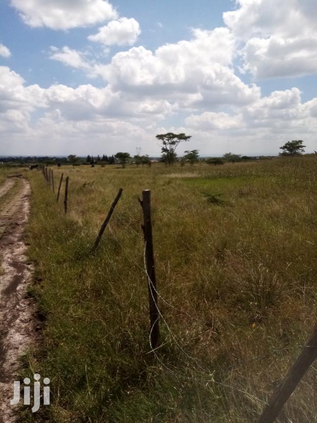Mwalimu Farm Plots for Sale - main view