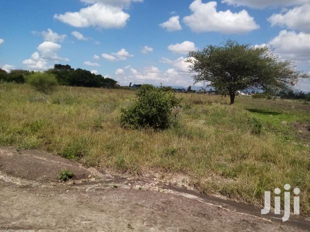 Mwalimu Farm Plots for Sale - thumbnail 3