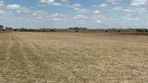 I Have a Land Tomsale 1.7 Acres Located Ata Machakos County Inbox .