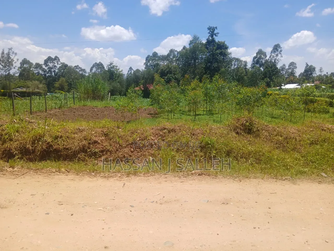 50 by 100plot Makunga on Sale