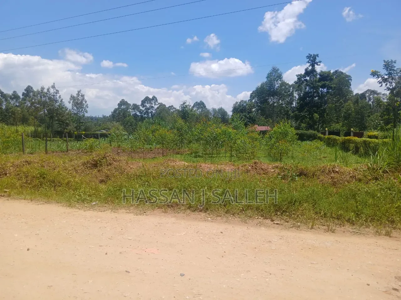 50 by 100plot Makunga on Sale