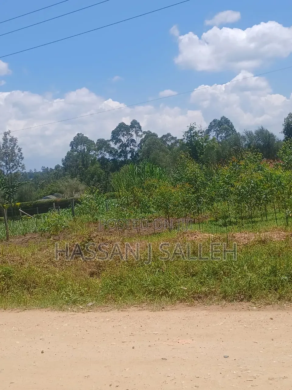 50 by 100plot Makunga on Sale