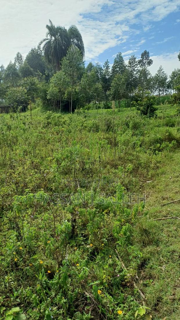 3acres Mumias Lureko on Sale