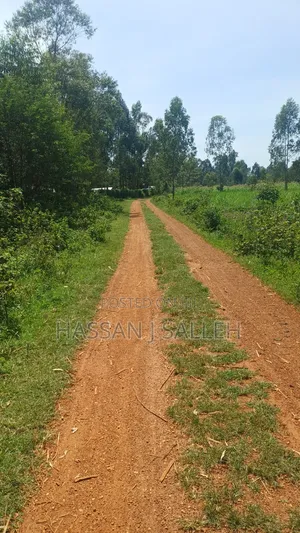 1/2acre Mumias Lureko