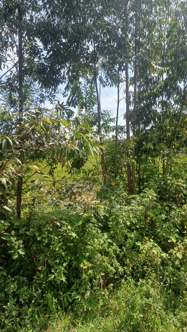 1/2acre Mumias Lureko - thumbnail 2