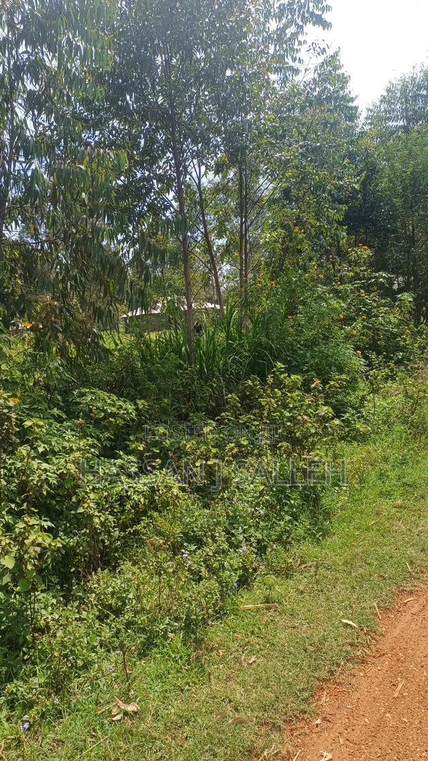 1/2acre Mumias Lureko - thumbnail 3