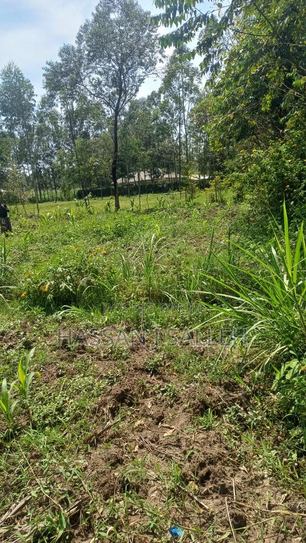 1/2acre Mumias Lureko - thumbnail 4