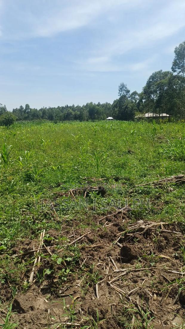 1/2acre Mumias Lureko - thumbnail 5