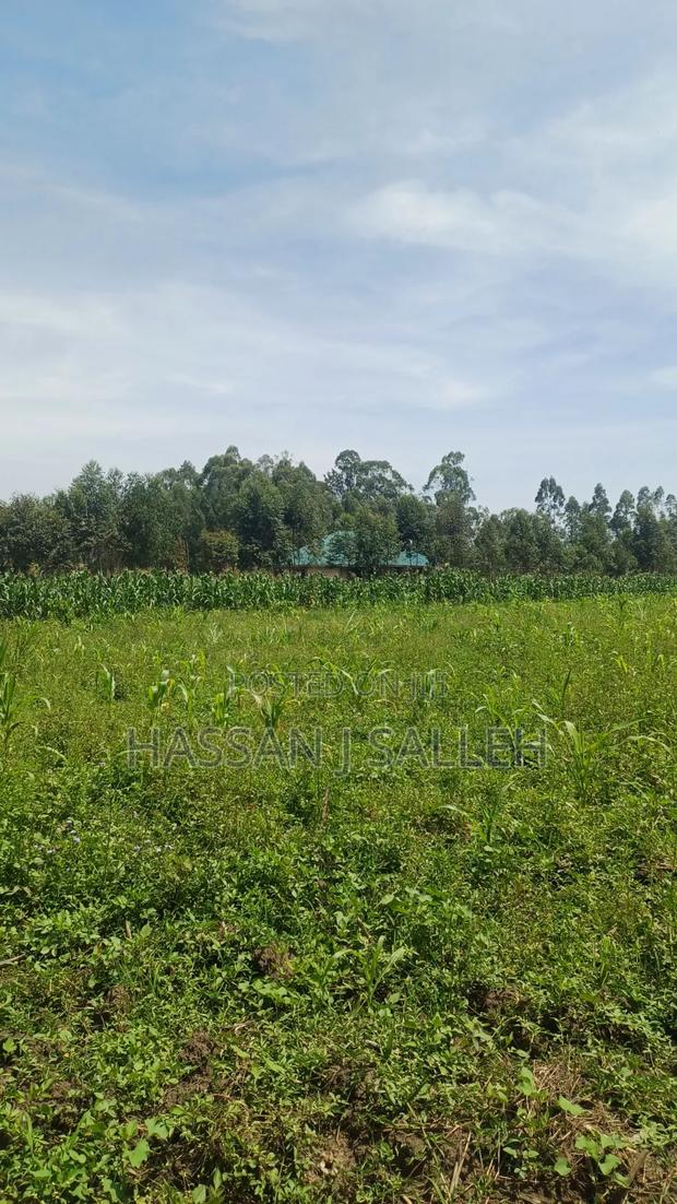 1/2acre Mumias Lureko - thumbnail 6