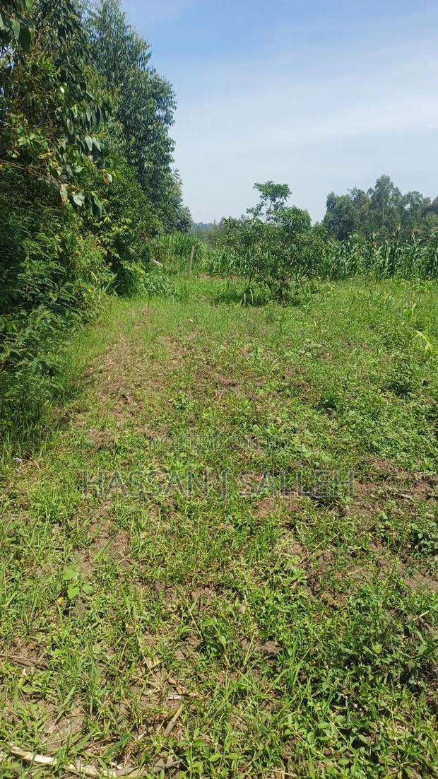 1/2acre Mumias Lureko - thumbnail 7