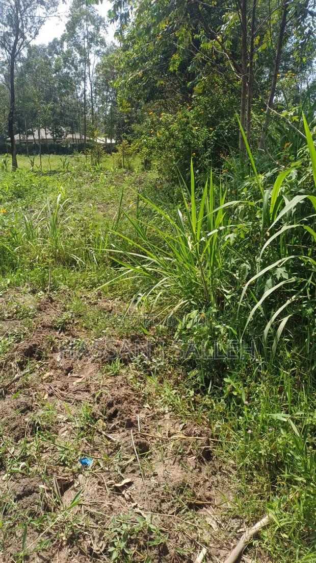 1/2acre Mumias Lureko - thumbnail 8