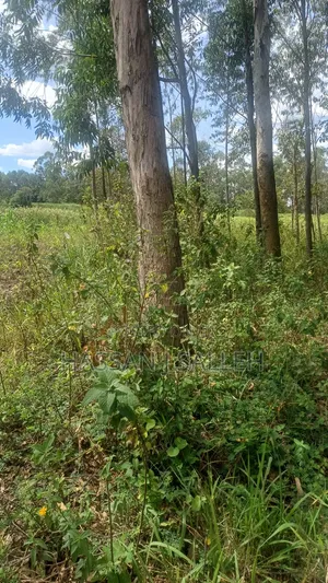 2acres Matungu