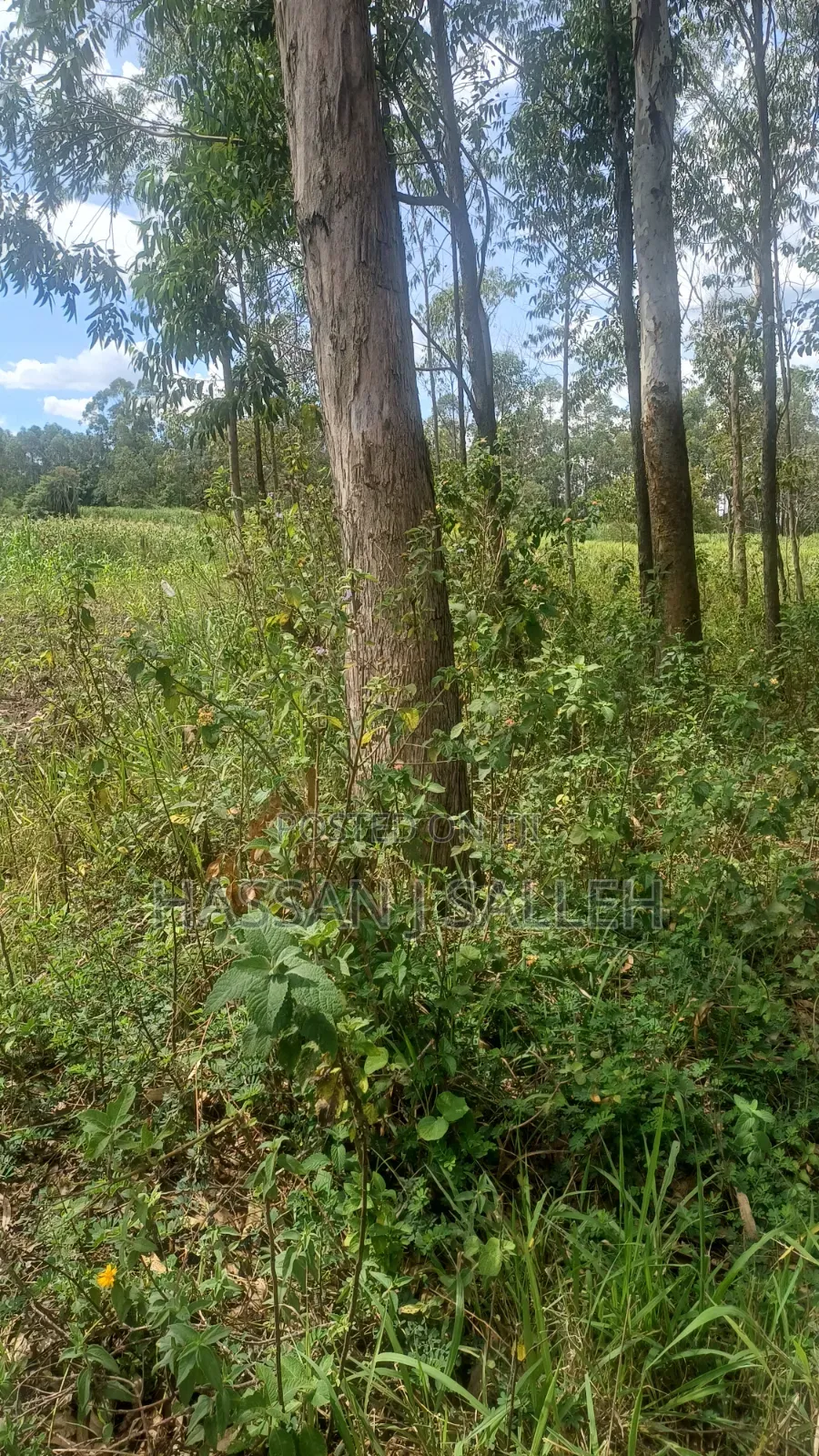 2acres Matungu