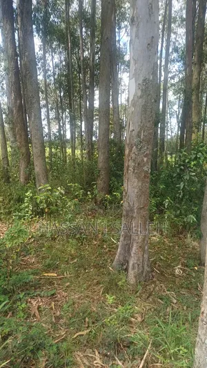 2acres Matungu