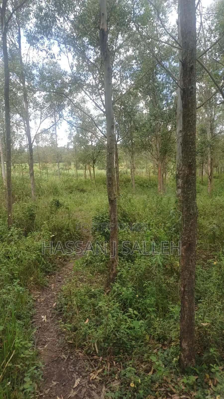 2acres Matungu
