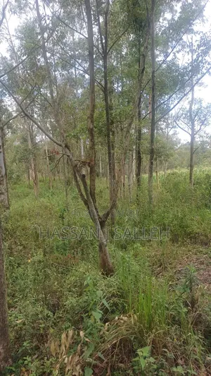 2acres Matungu