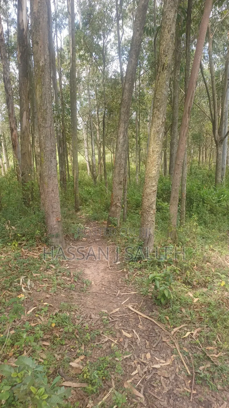 2acres Matungu