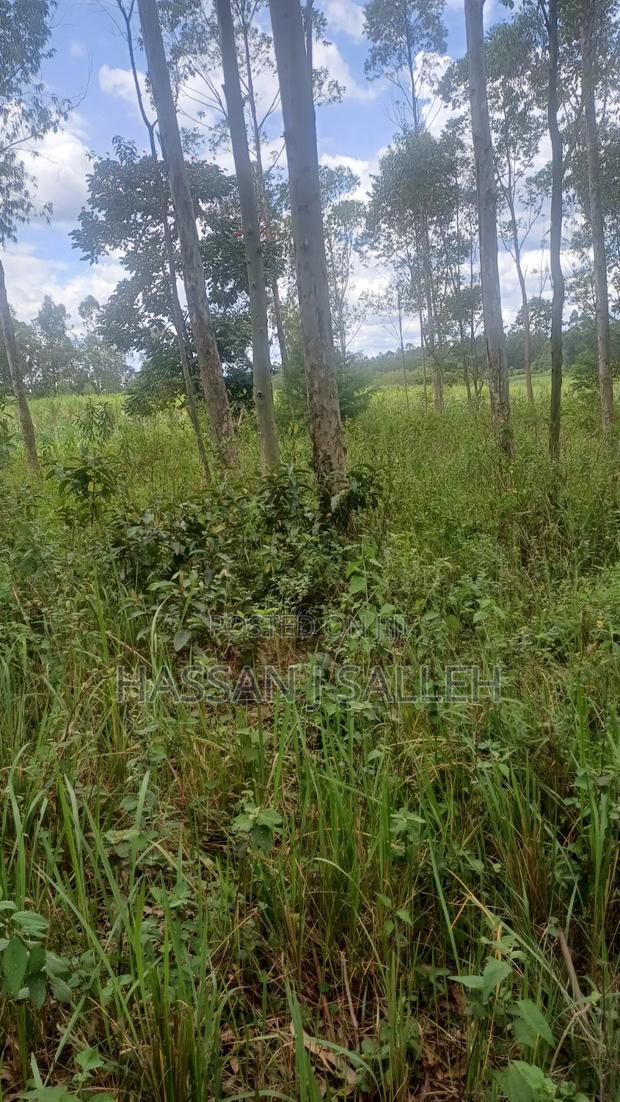 2acres Matungu - thumbnail 6