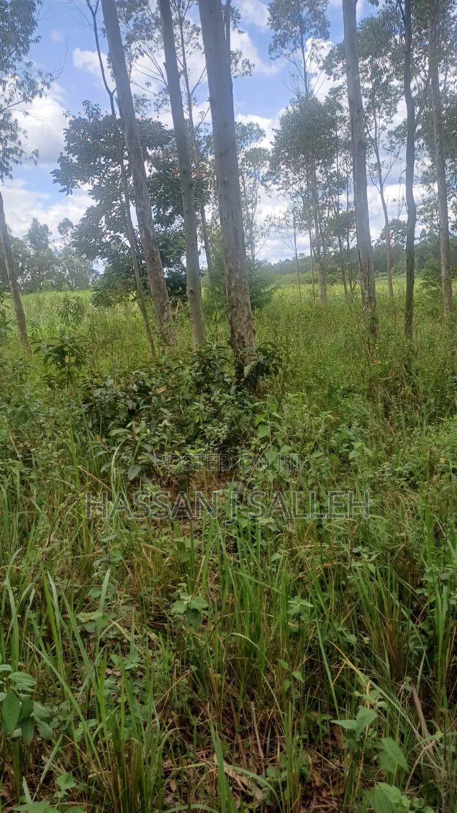 2acres Matungu