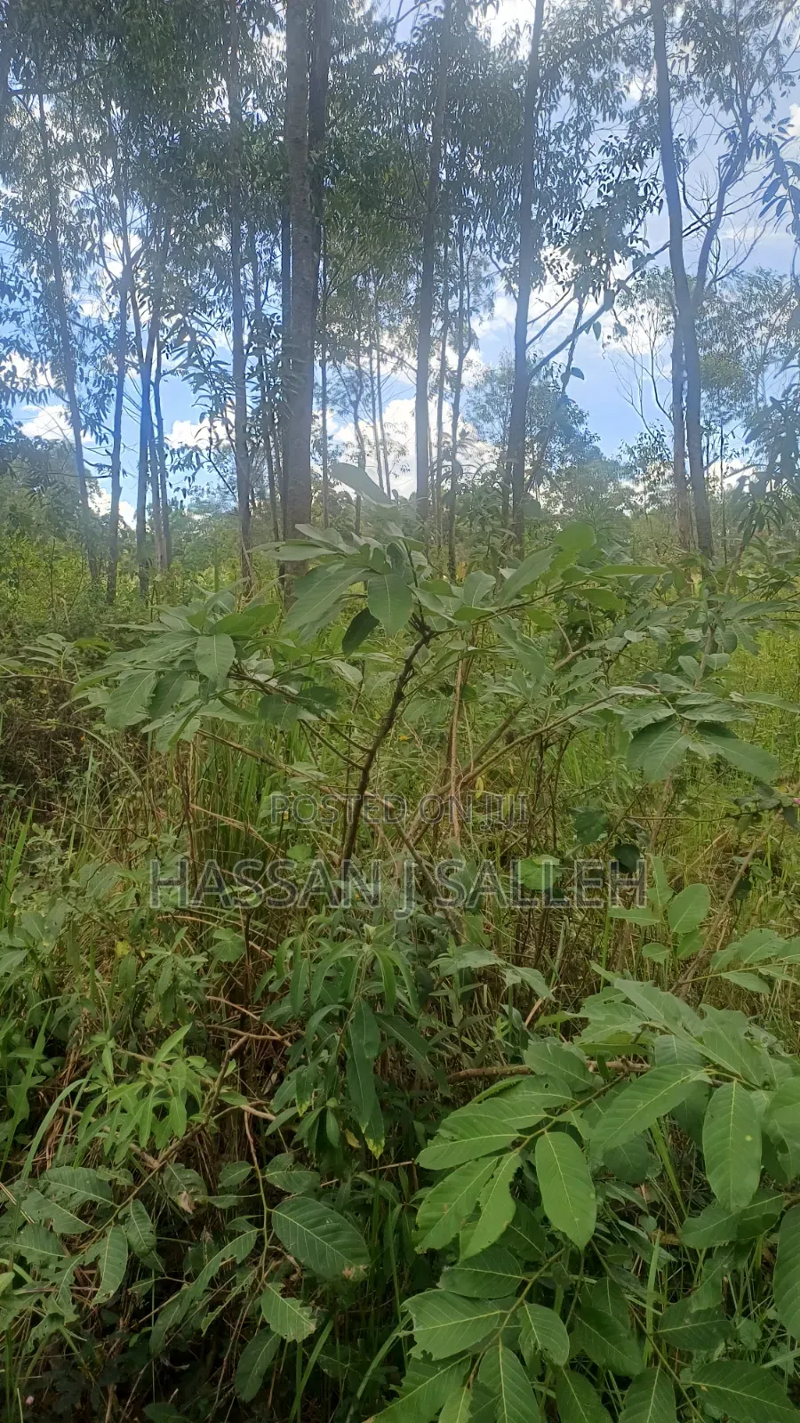 2acres Matungu