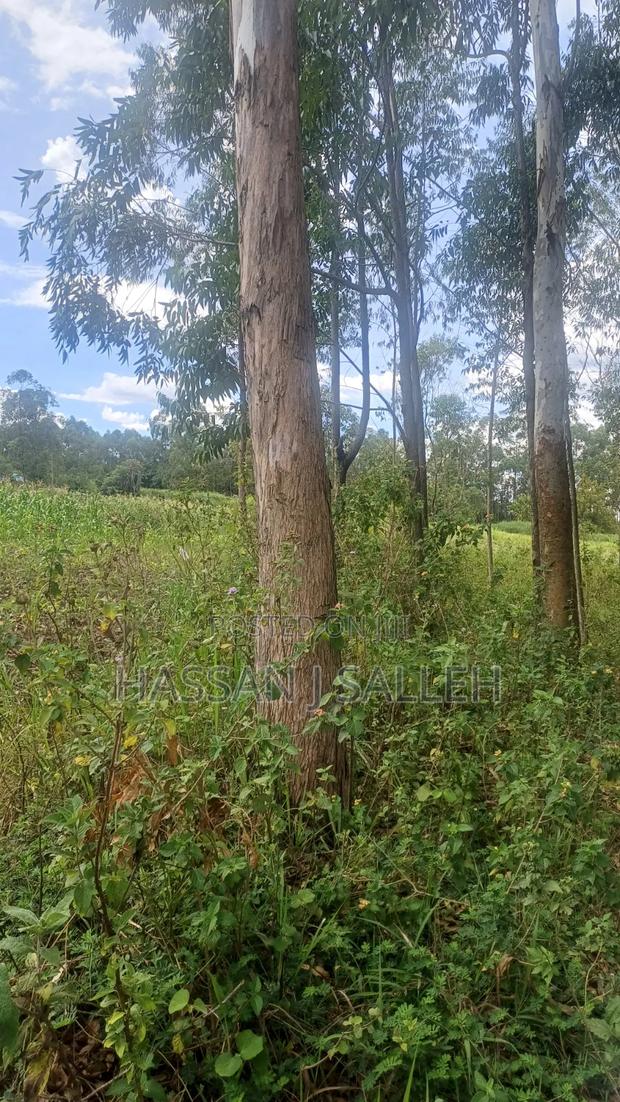 2acres Matungu - thumbnail 9