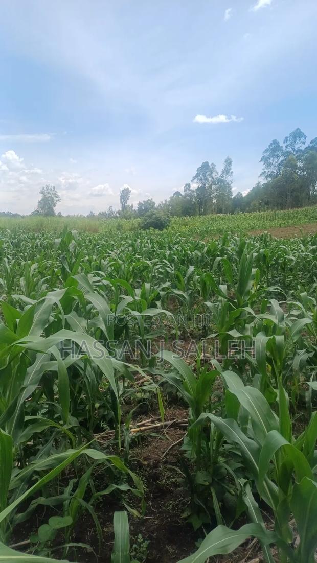 3acres Matungu on Sale
