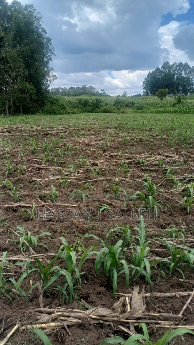 3acres Matungu on Sale - thumbnail 2