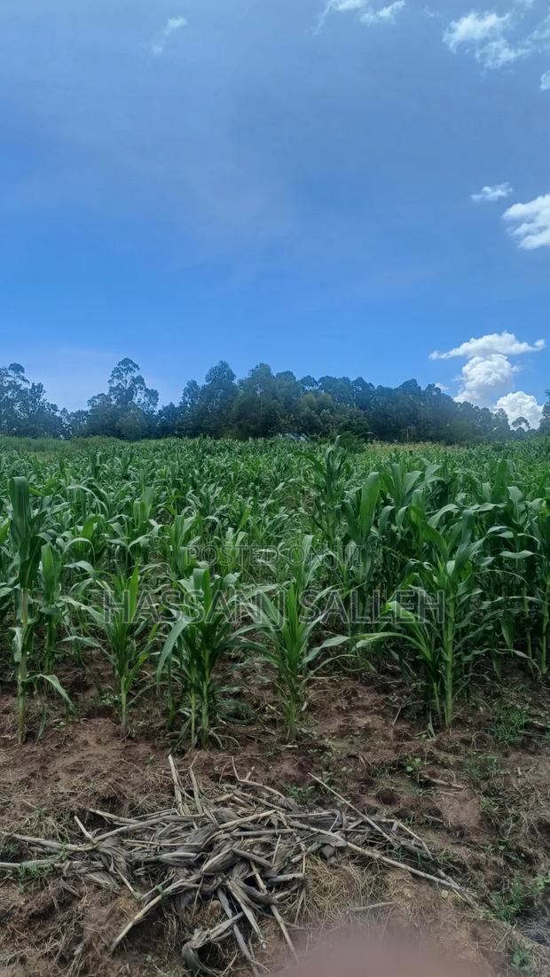 3acres Matungu on Sale - thumbnail 3