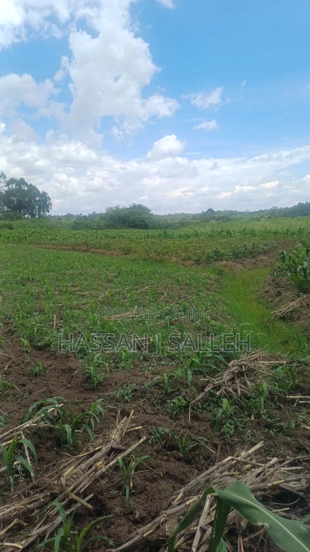 3acres Matungu on Sale - thumbnail 4