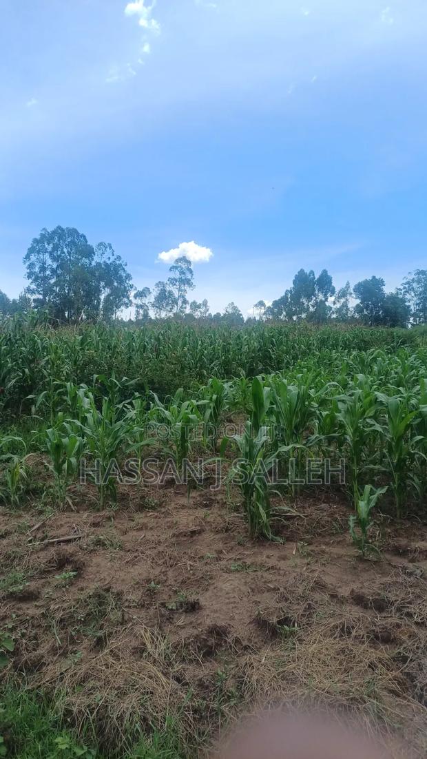 3acres Matungu on Sale - thumbnail 5
