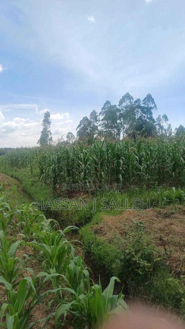 3acres Matungu on Sale - thumbnail 6