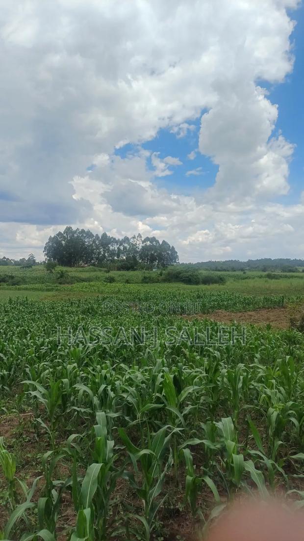 3acres Matungu on Sale - thumbnail 7
