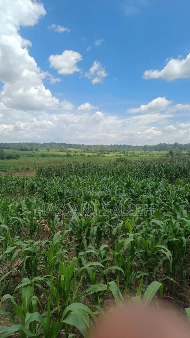 3acres Matungu on Sale - thumbnail 8