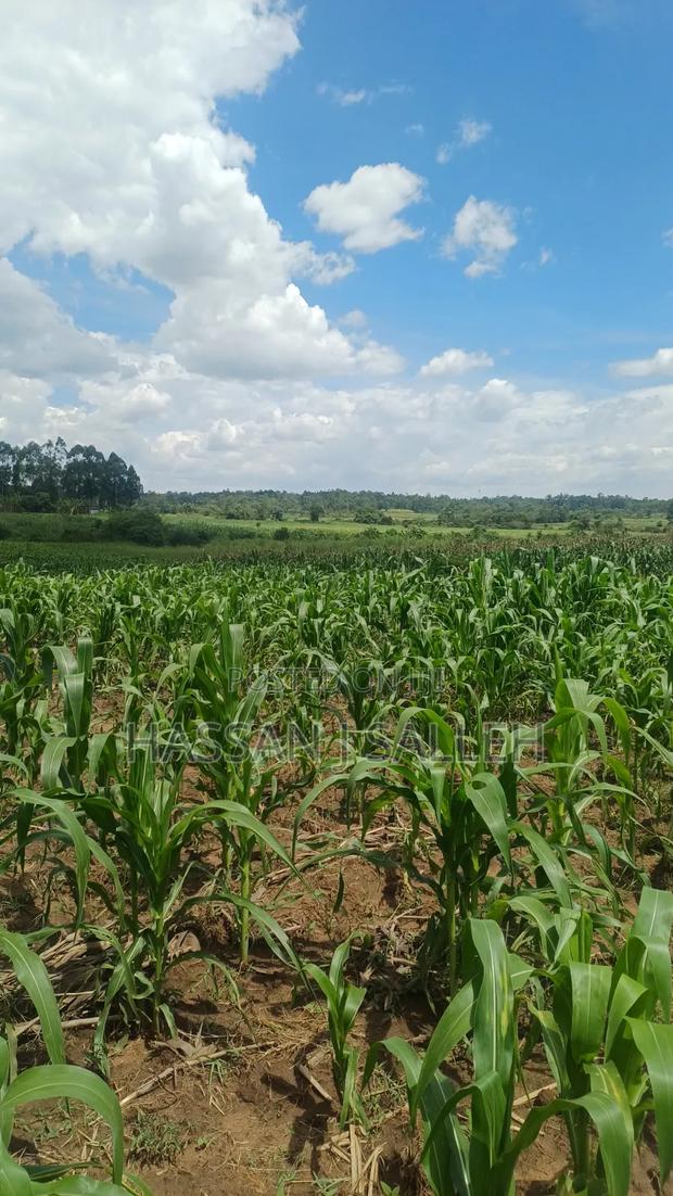 3acres Matungu on Sale - thumbnail 9