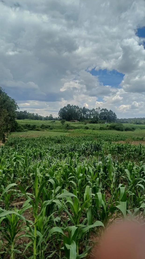 3acres Matungu on Sale - thumbnail 10