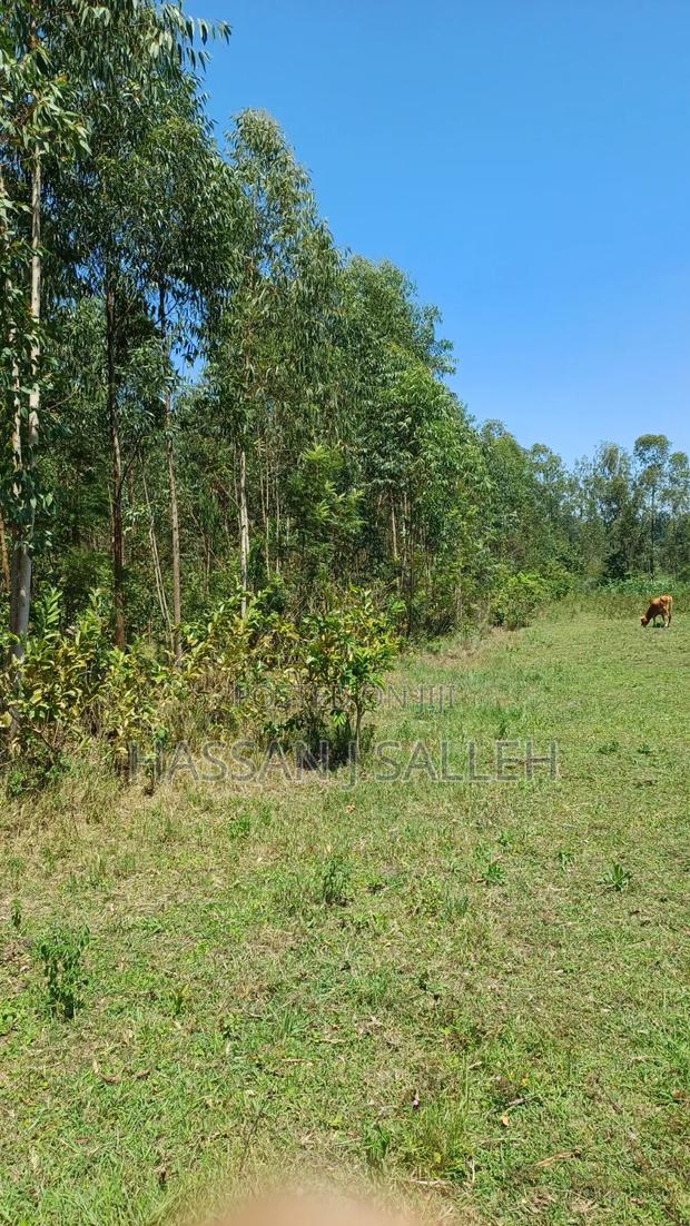 1acre Lureko Mumias.