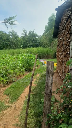 Makunga Plot 4 Sale