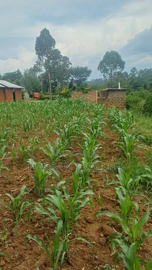 Makunga Plot 4 Sale