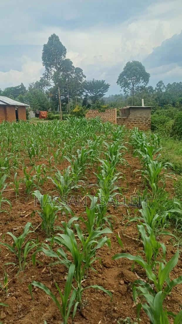 Makunga Plot 4 Sale - thumbnail 2