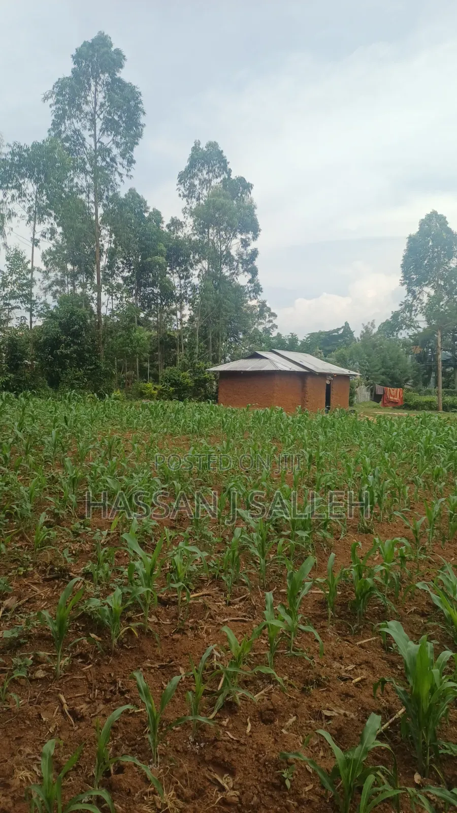 Makunga Plot 4 Sale
