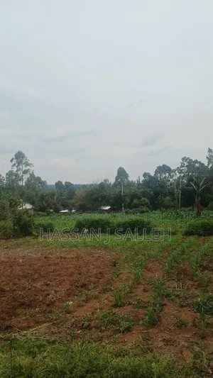 Makunga Plot 4 Sale