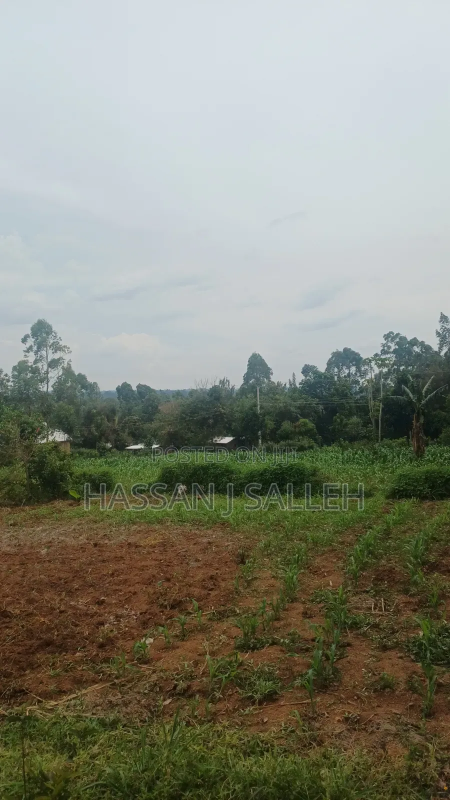 Makunga Plot 4 Sale