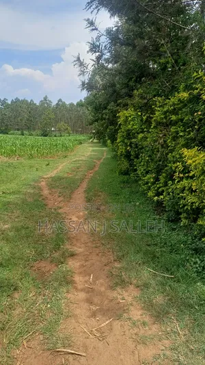 1/2a Makunga