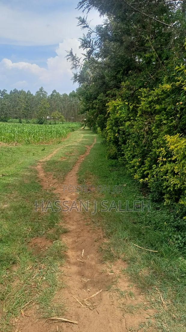 1/2a Makunga