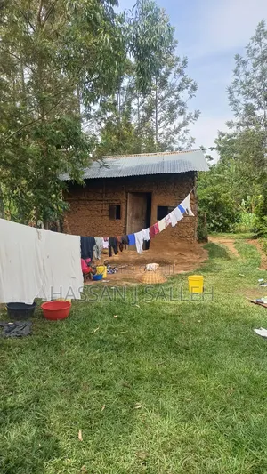 1/2a Makunga