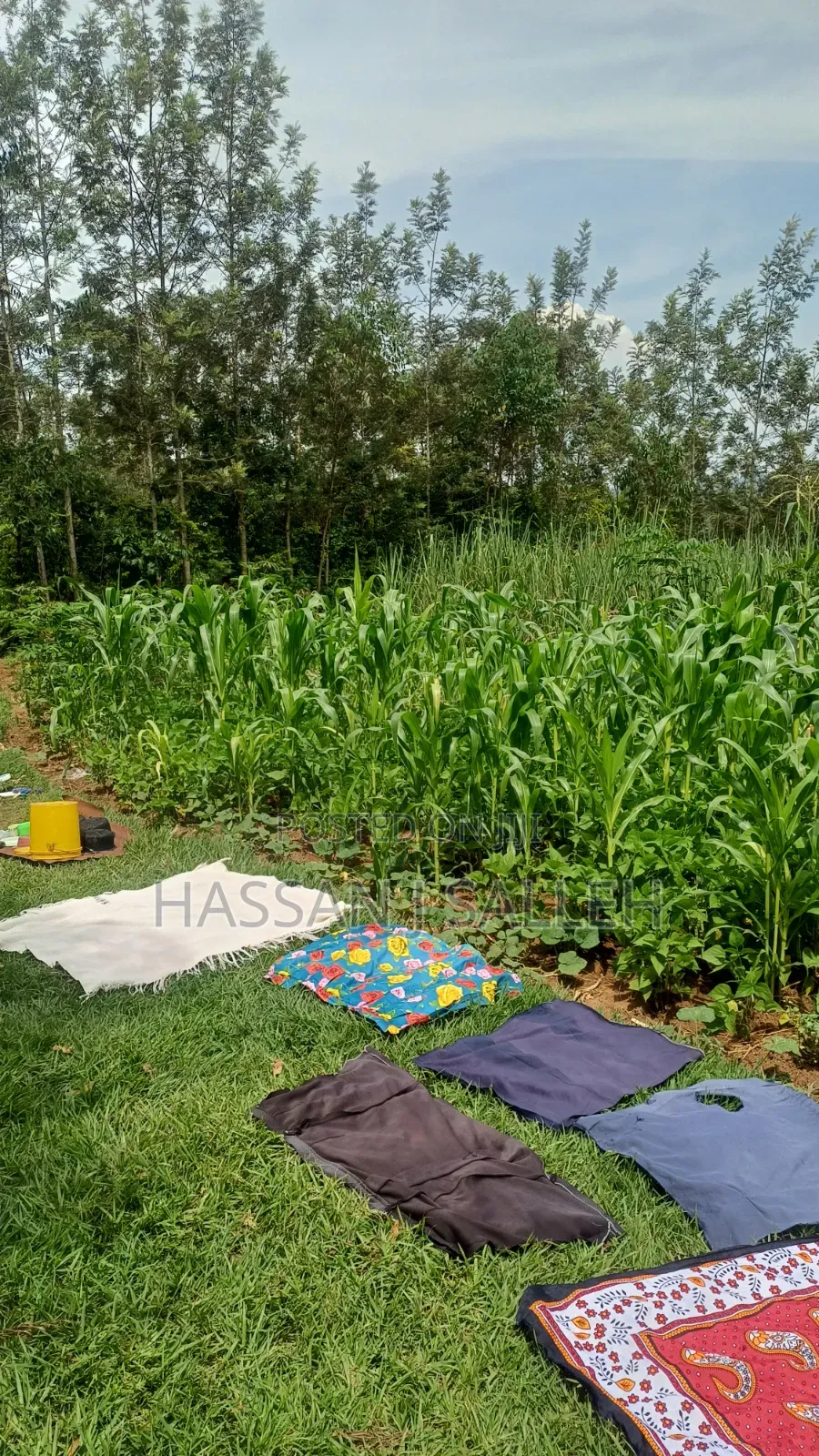 1/2a Makunga