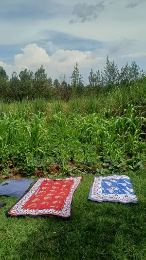 1/2a Makunga