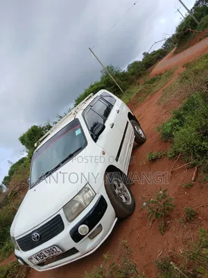 Toyota Succeed 2004 White